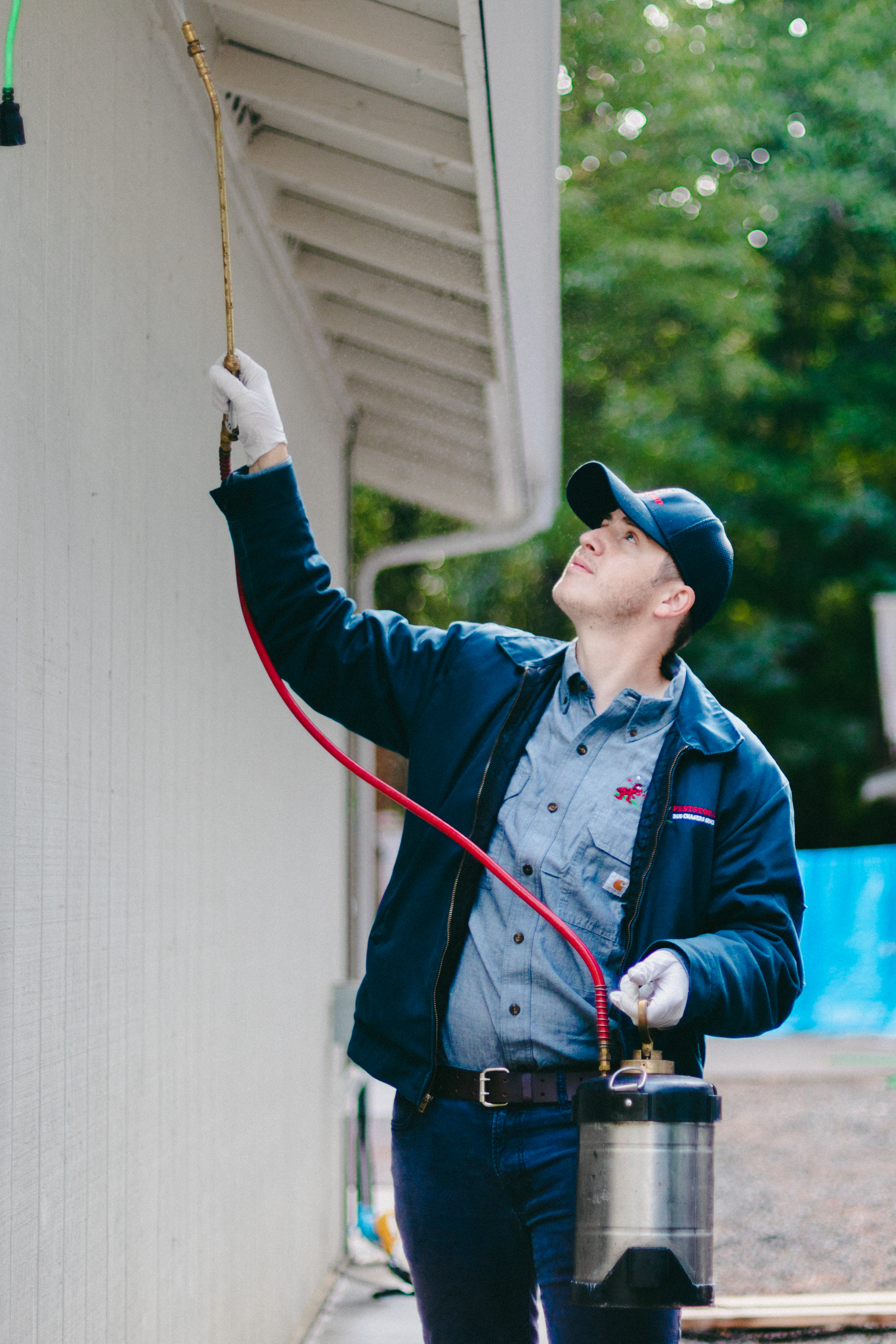 Treating spider nests